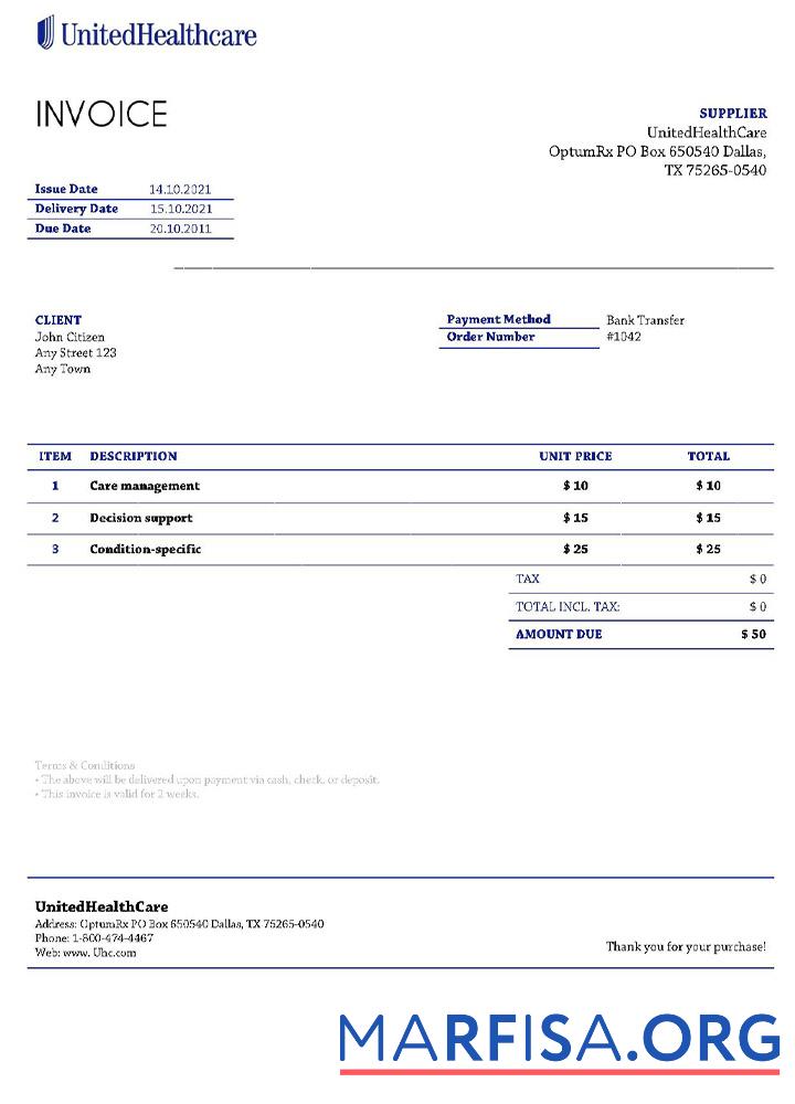 Realistic USA UnitedHealthCare invoice download for verification